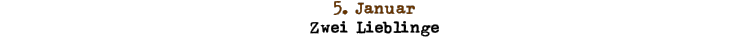 5. Januar